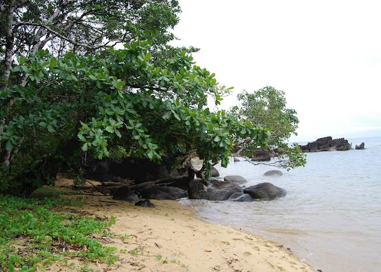 Masoala National Park, Madagascar