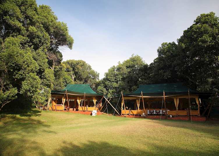 Elephant Pepper Camp, Masai Mara