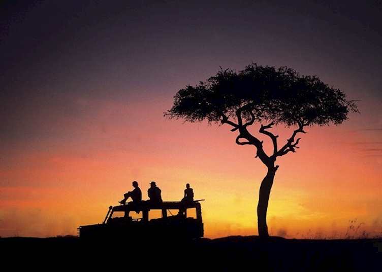 Night drive from Elephant Pepper Camp, Masai Mara