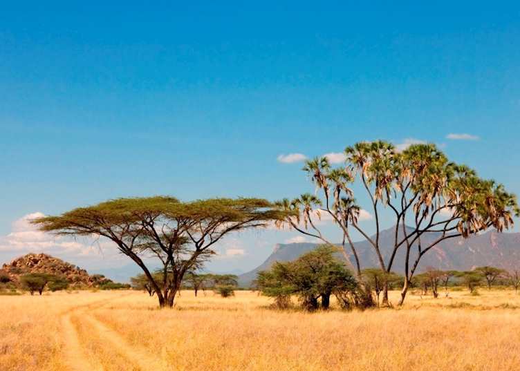 Shaba Reserve, Kenya