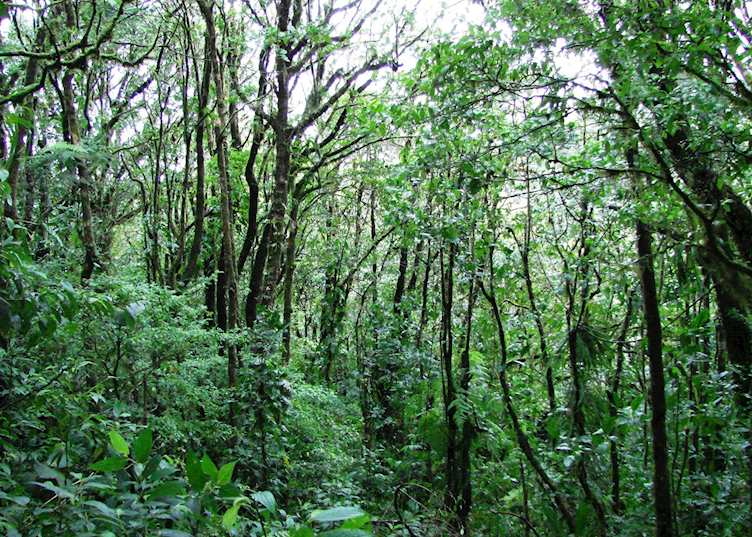 El Silencio Lodge, Costa Rica