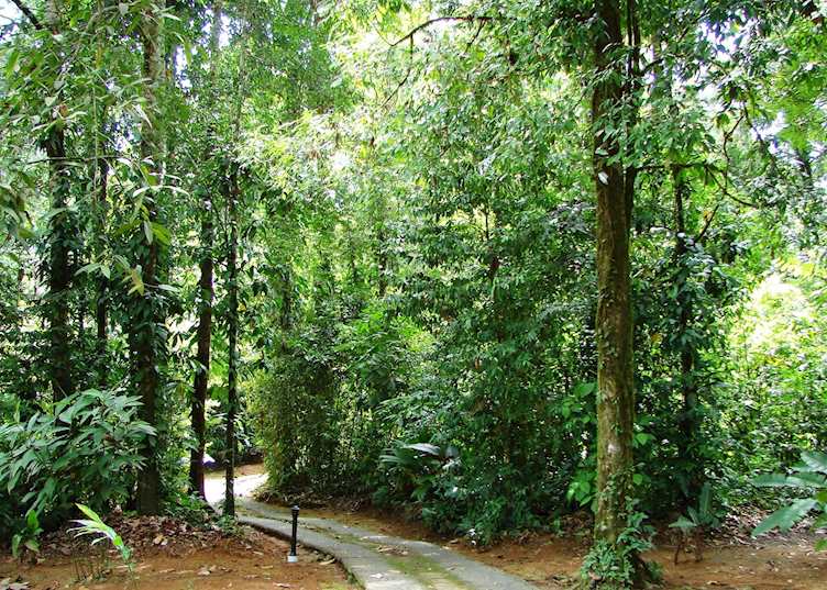 Casa Corcovado Jungle Lodge, Osa Peninsula