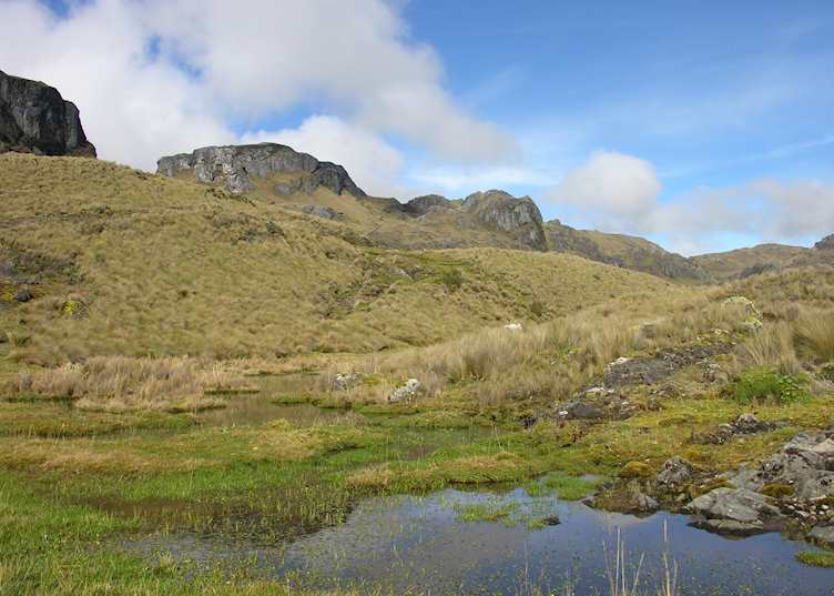 El Cajas National Park