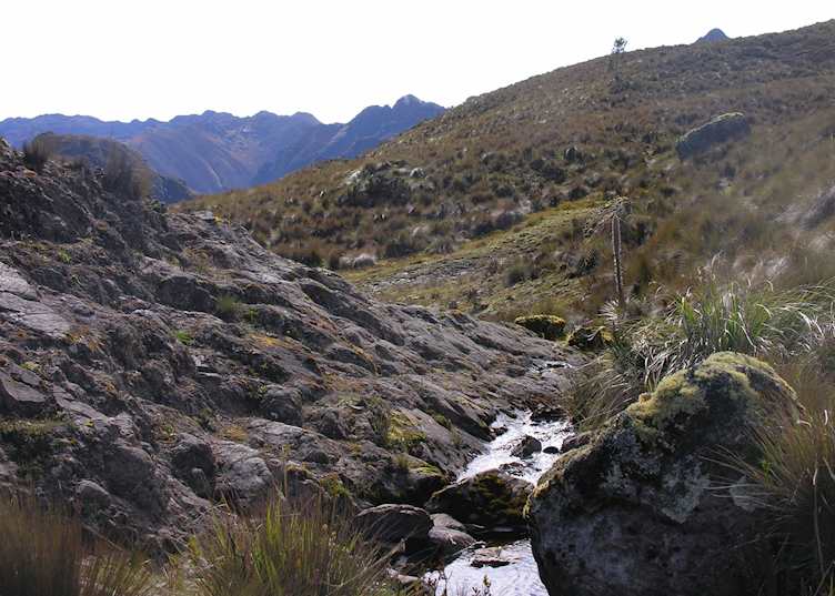 El Cajas National Park