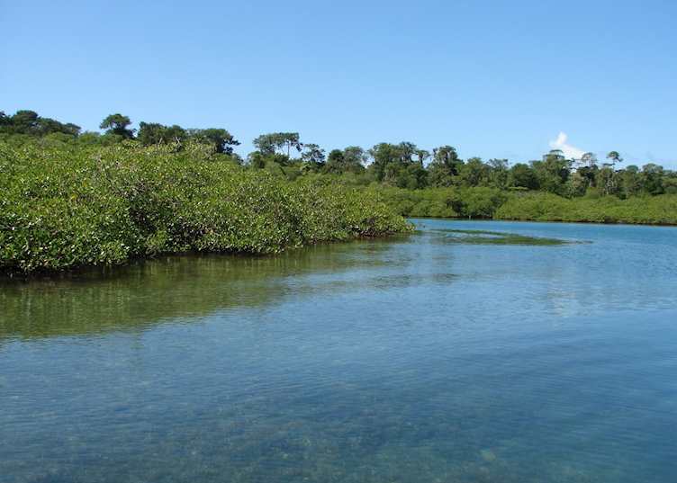 Tranquilo Bay, Panama