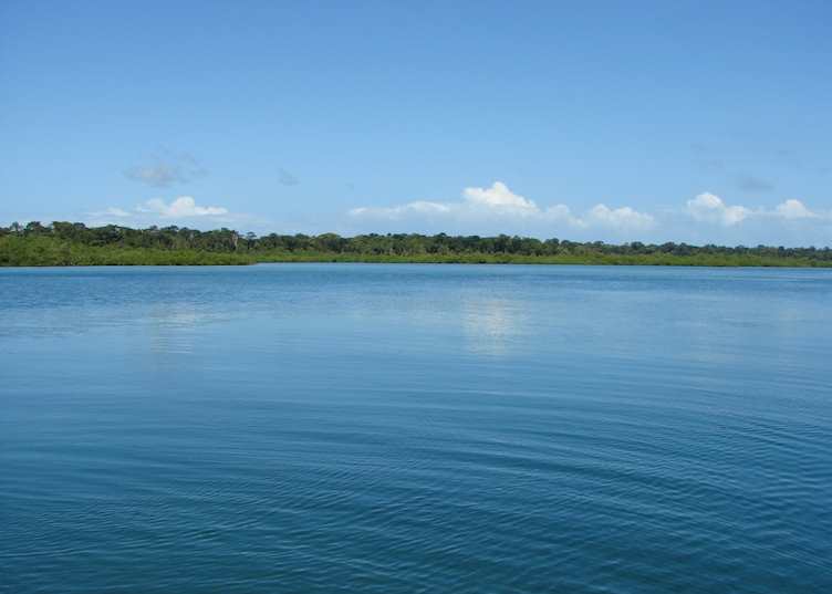 Tranquilo Bay, Panama