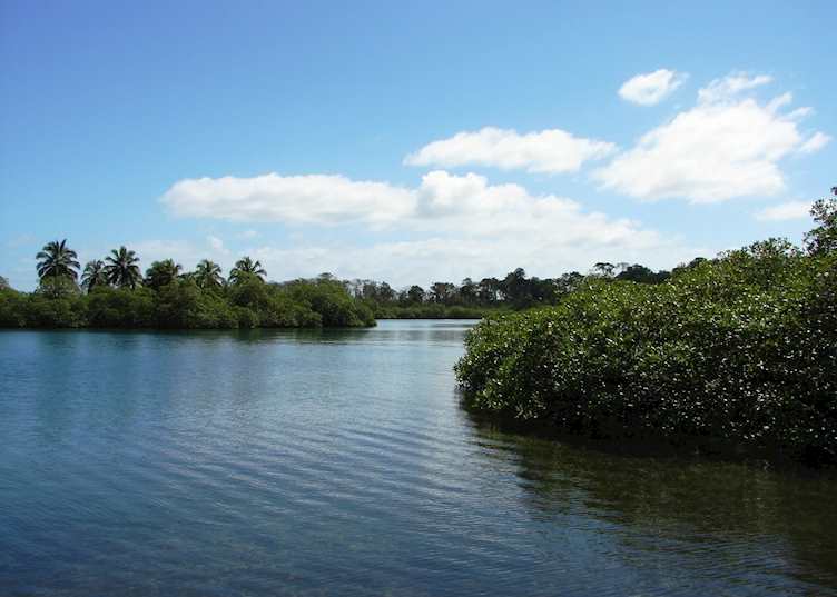 Tranquilo Bay, Panama