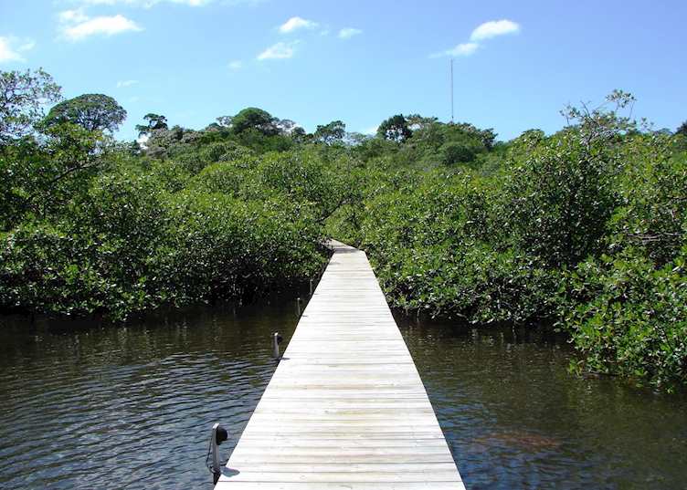 Tranquilo Bay, Panama