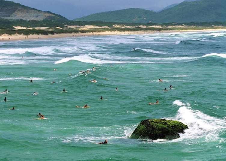Surfers around Florianopolis