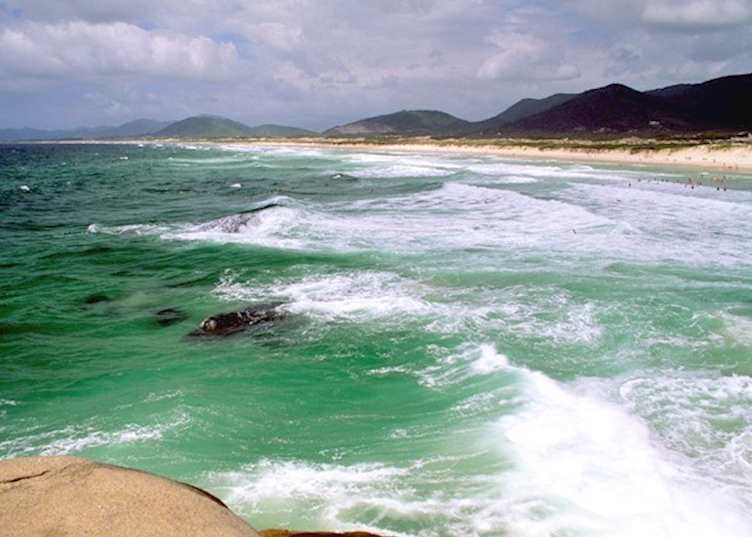 Florianopolis, Brazil