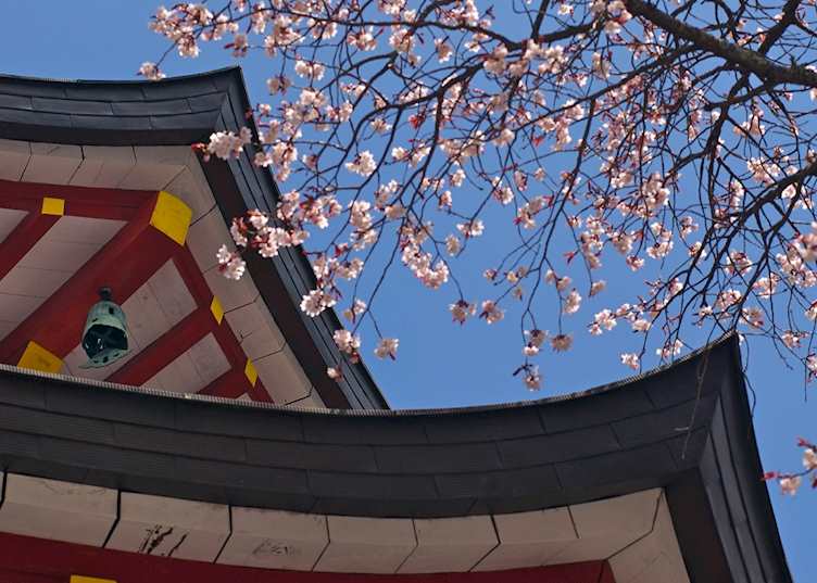 Mount Koya in spring
