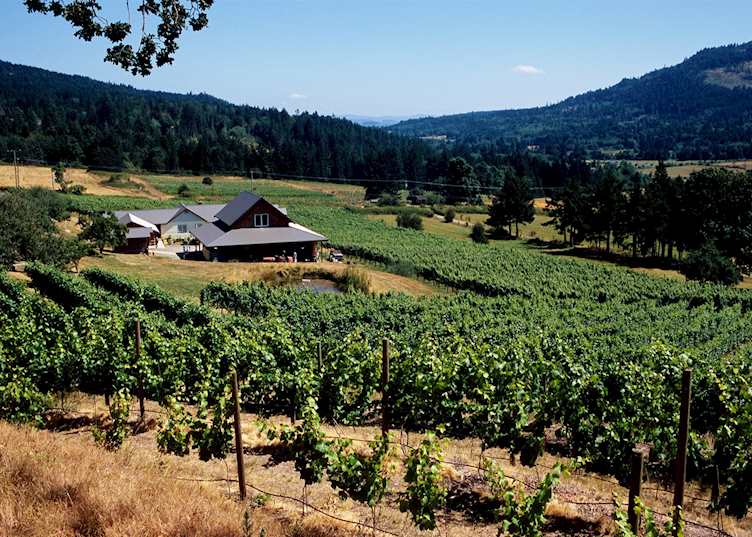 Vineyards on Salt Spring Island