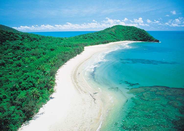 Cape Tribulation, Cape Tribulation by appointment with Downunder Tours
