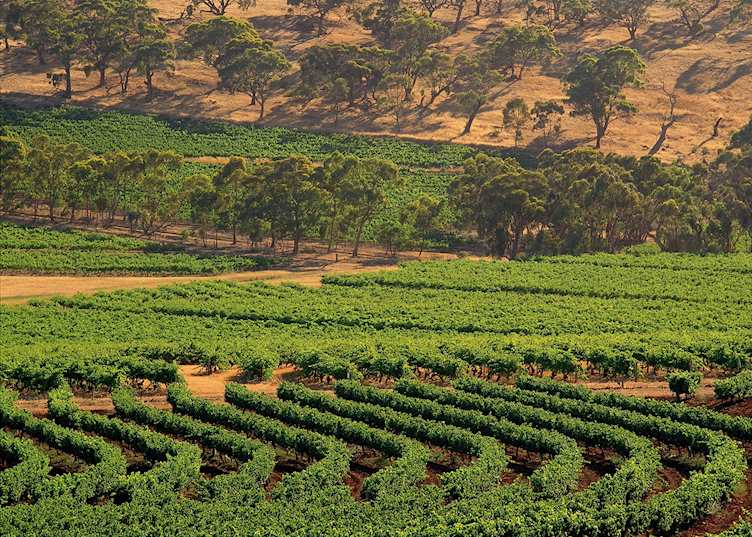 Clare Valley, Australia