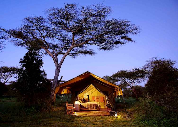 Nomad Serengeti Safari Camp