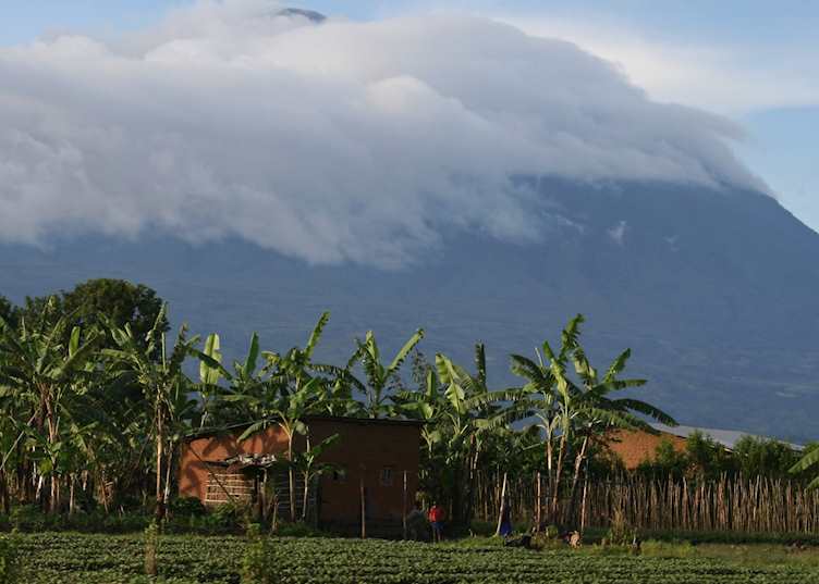 Farmland at the base of the Virunga Volcanoes