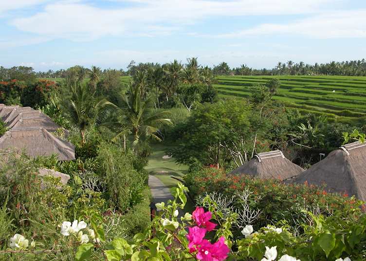 Wapa Di Ume, Ubud