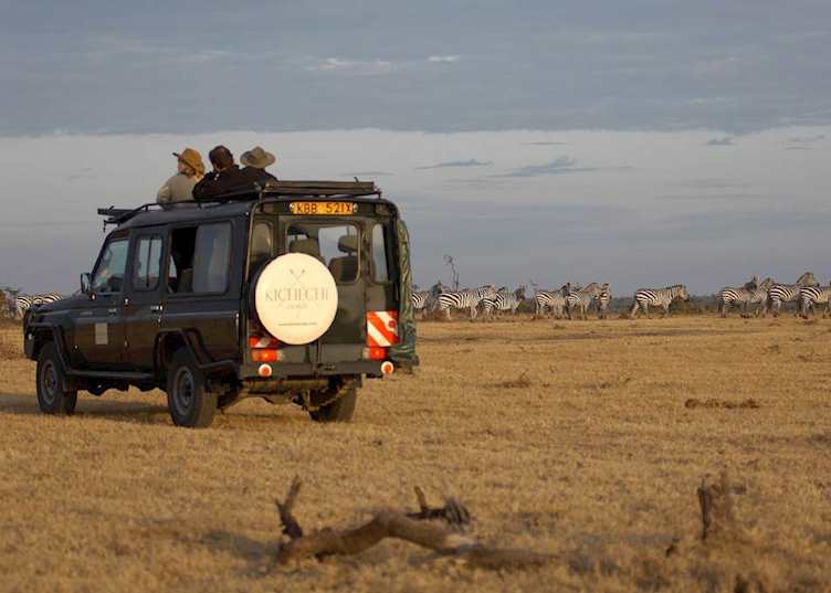 Game drive on Ol Pejeta