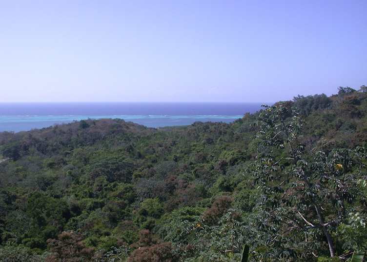 Roatán Island, Honduras
