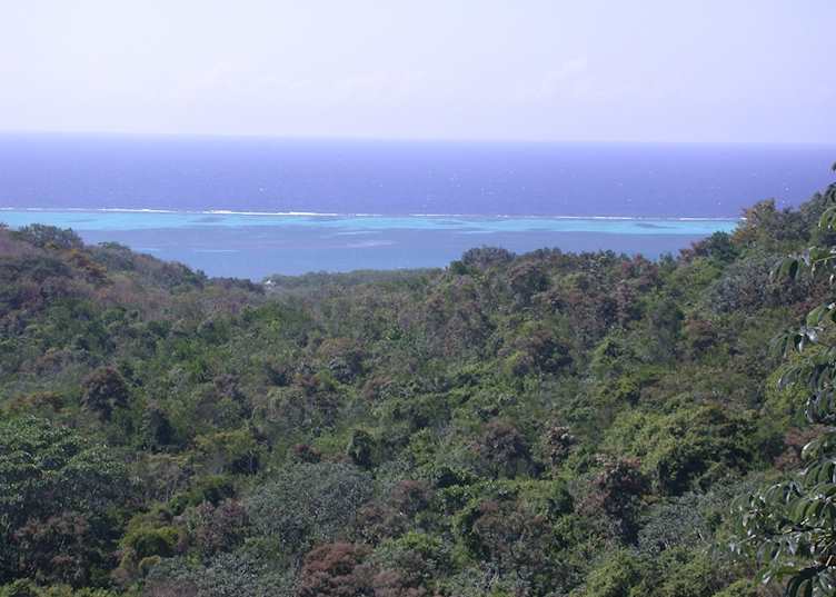 Roatán Island, Honduras