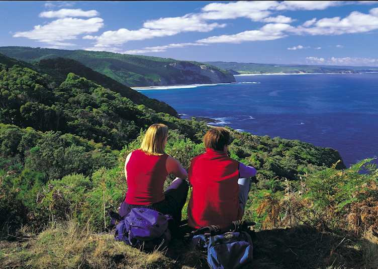 Ryans Den Track, Great Ocean Walk with Bothfeet