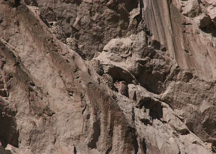 Ancient ruins en route to Condors Cross, Colca Canyon