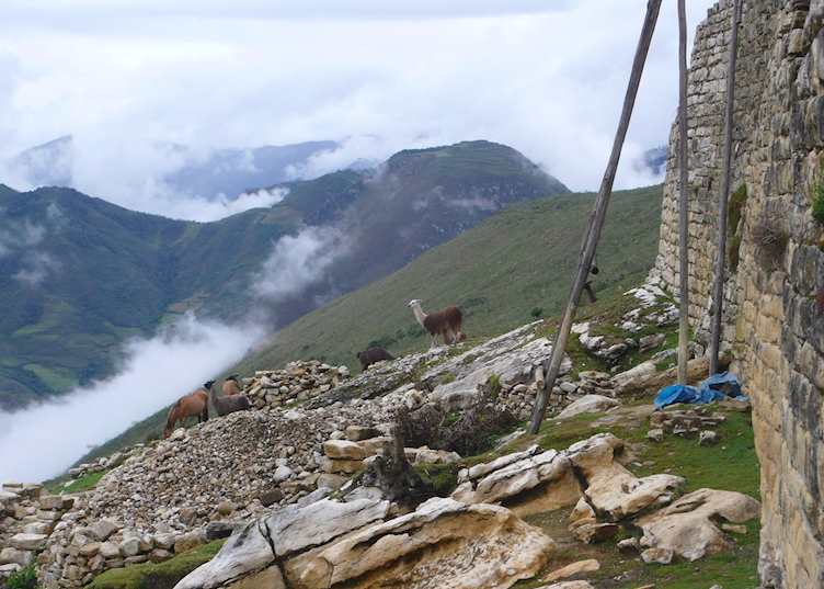 Kuelap under excavation