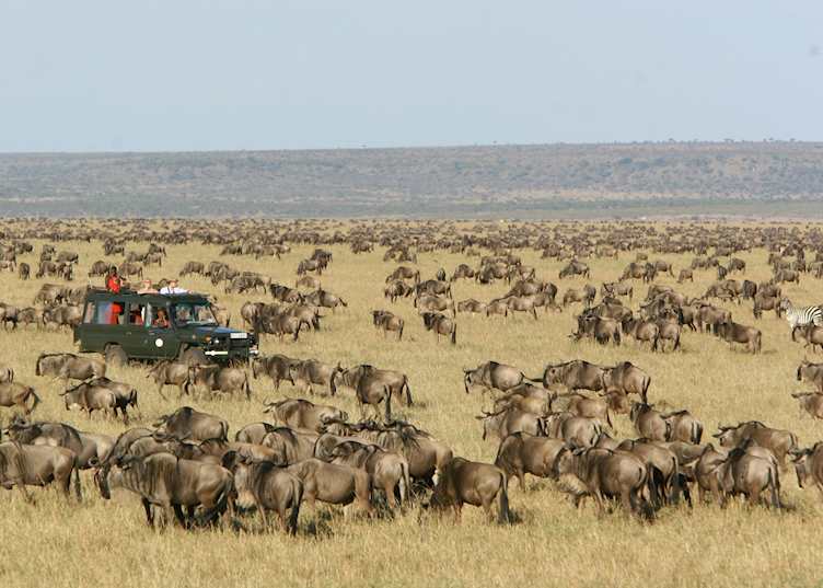 The Great Migration seen from Rekero Tented Camp