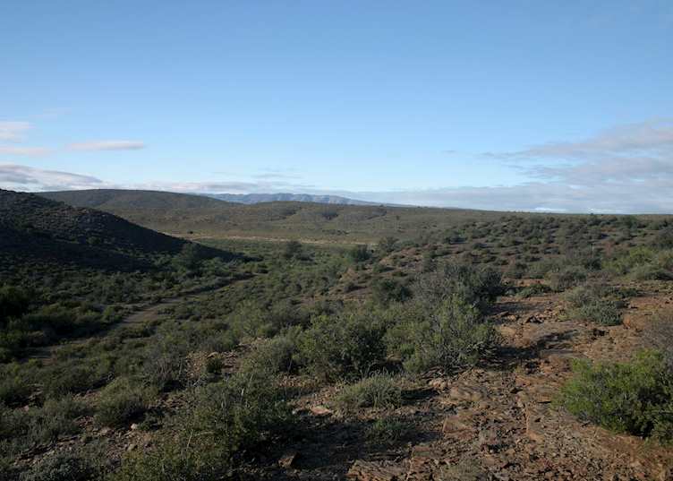 Sanbona Game Reserve