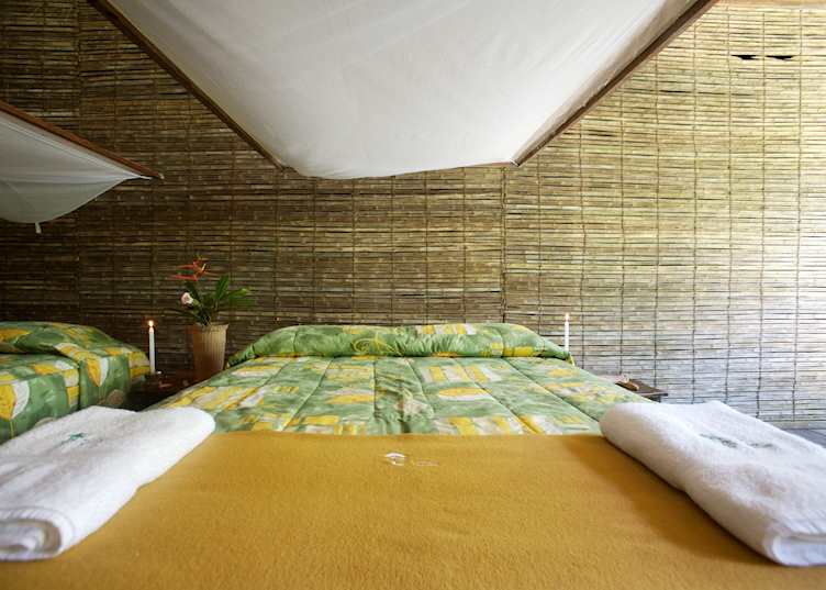 Standard Room, Posada Amazonas