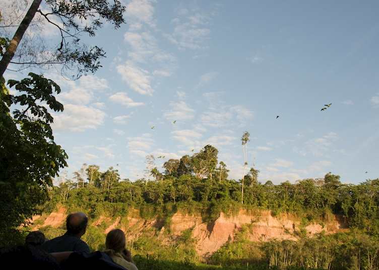 Excursion to the clay lick at Tambopata Research Centre