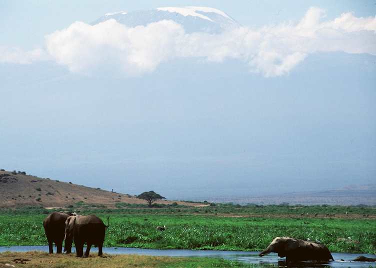 Amboseli National Park, Kenya
