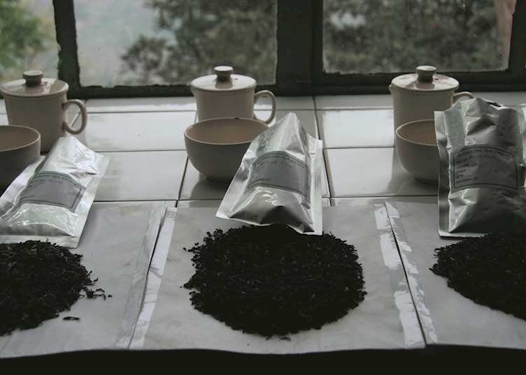 Tea tasting session at Glenburn