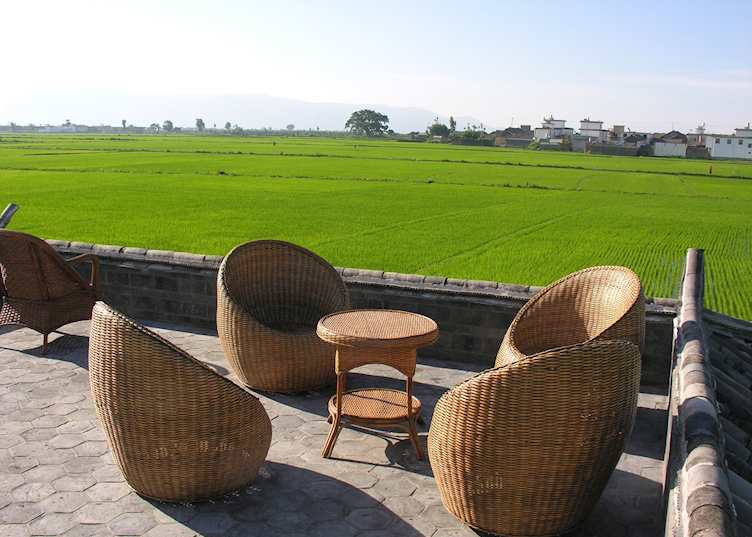 Rooftop Terrace, Linden Centre, Dali