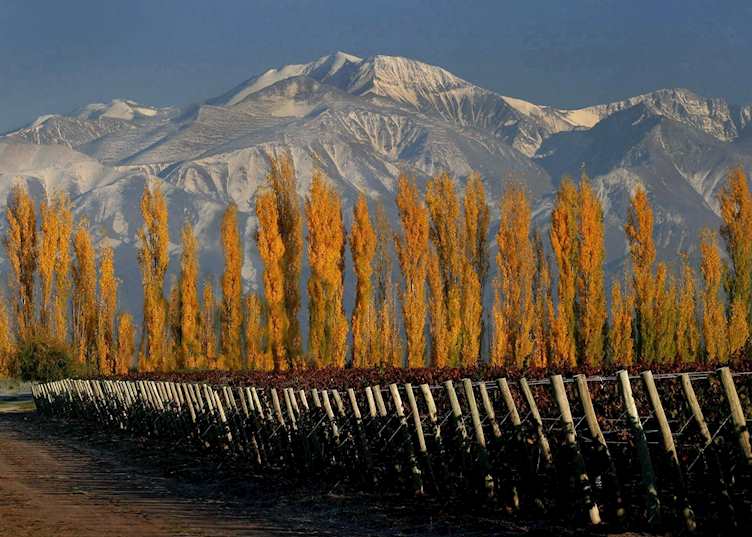 Cavas Wine Lodge, Mendoza