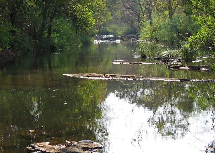 Lilongwe Nature Sanctuary, Malawi