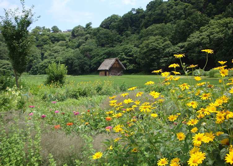 Japan Alps