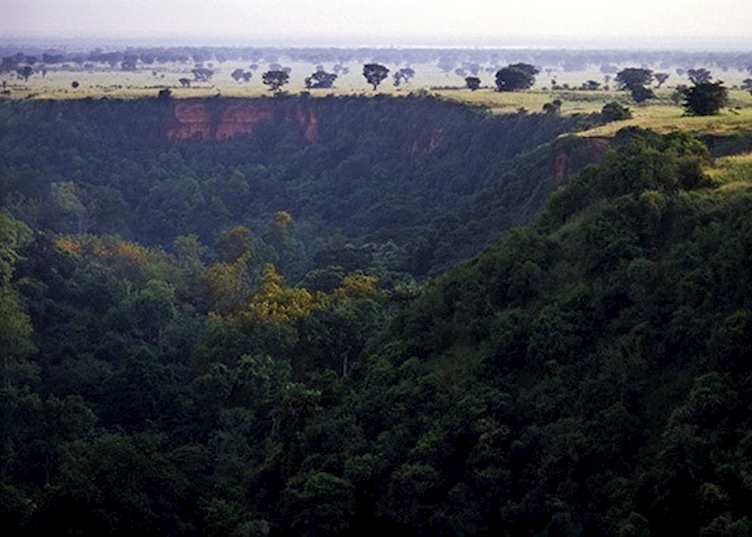 Kyambura Gorge, Queen Elizabeth National Park