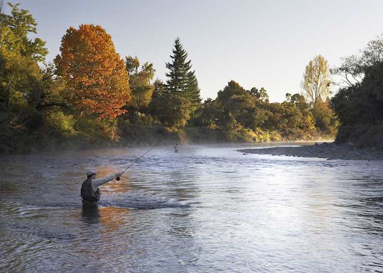 Fishing at River Birches, Turangi
