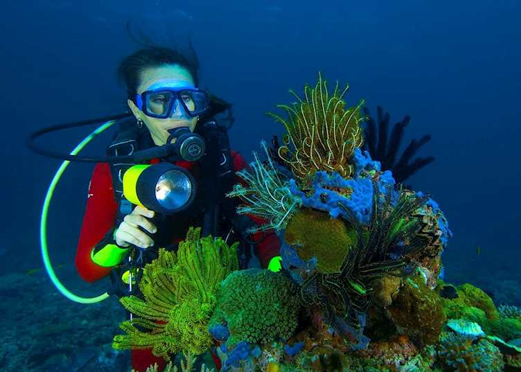 Diving from Lankayan Island, Borneo