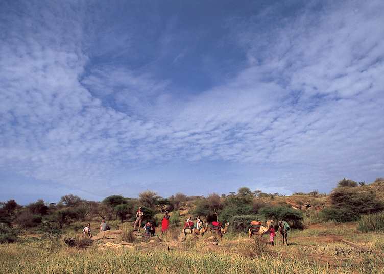Camel safari at Loisaba Wilderness