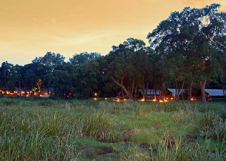 Little Governors' Camp, Masai Mara