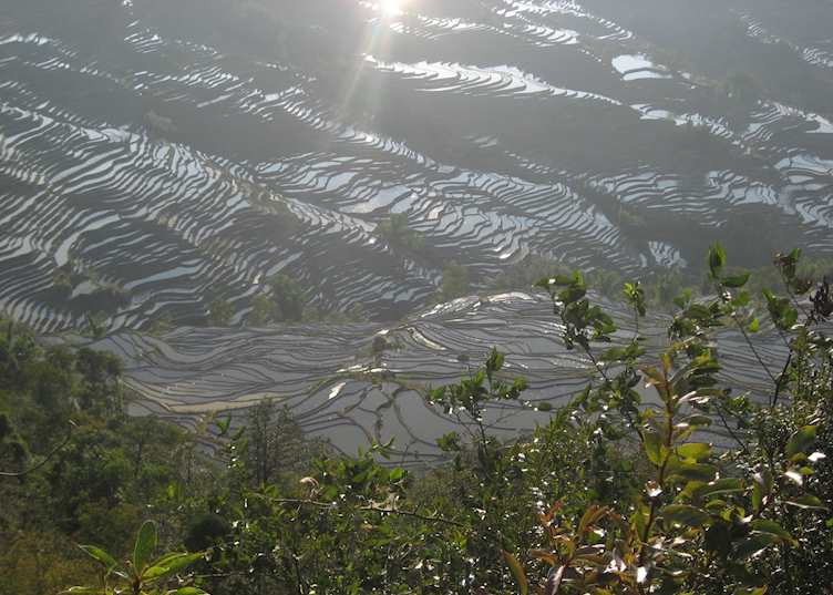 Sunset over the Yuanyang rice terraces, China
