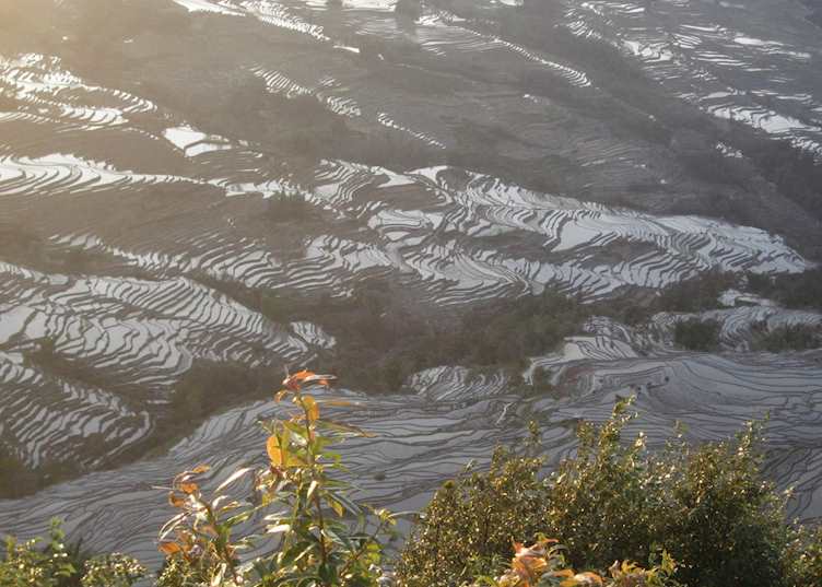 Yuanyang rice terraces, China