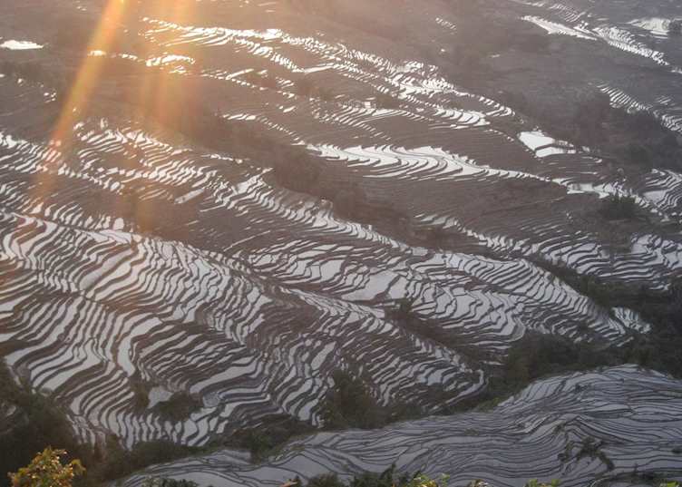 Sunset over the Yuanyang rice terraces, China