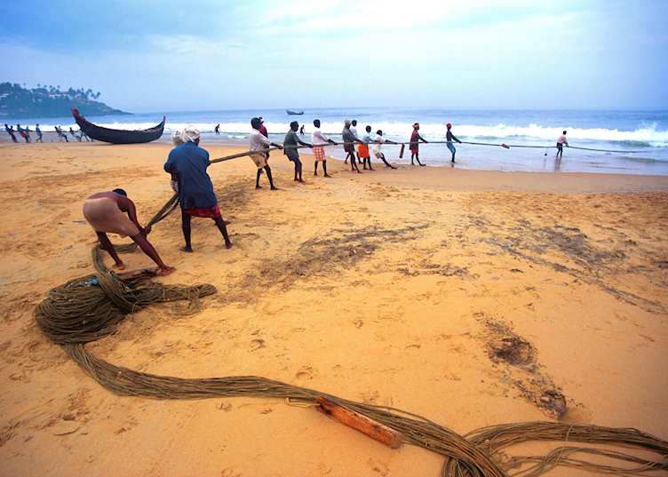 Indian fishermen hauling in their net, Kovalam