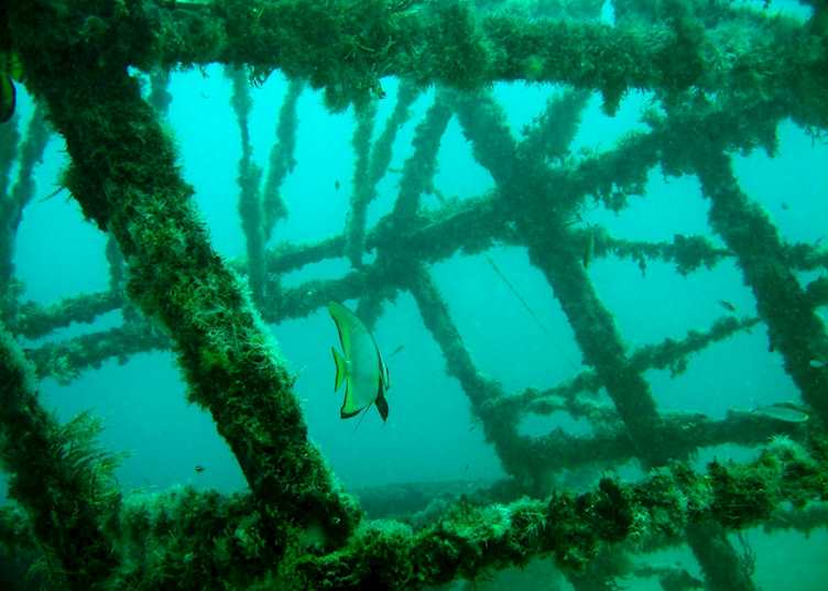 Kapalai-Mabul, Malaysian Borneo
