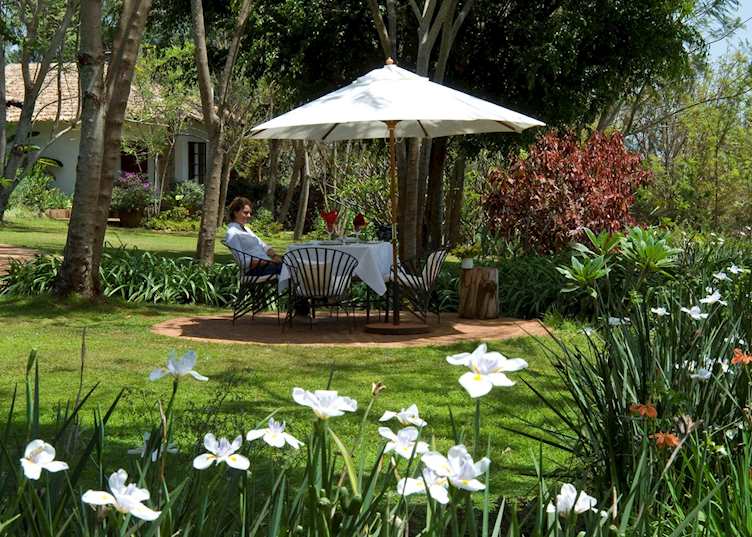 Plantation Lodge gardens