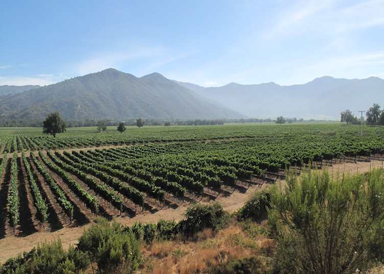 Casablanca Valley