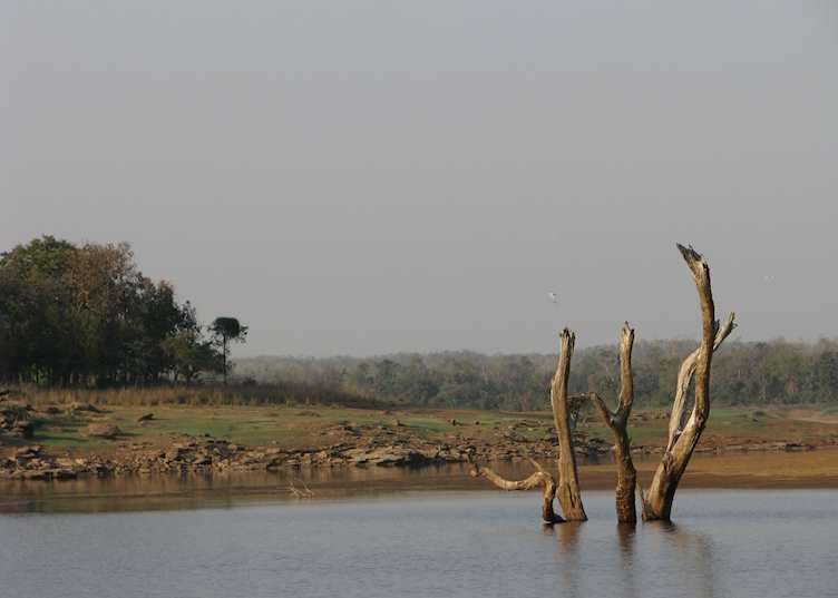 Magnificent landscaped offered by Satpura National Park